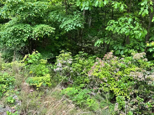 Goose Creek Rd Lot 1, Seymour, TN 37865