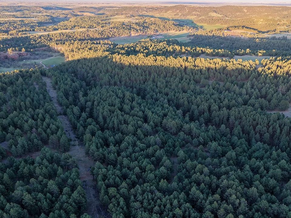 Dji Fly 20260519 194708 0173 1779297563056 Photo