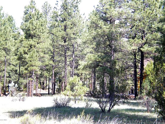 3rd image of 2889 Homestead Dr