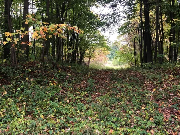 8233 59th St, Grand Junction, MI 49056