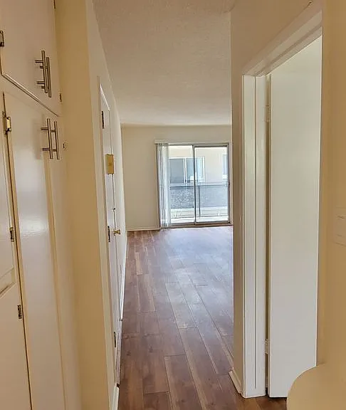 1352 N Citrus Ave — Photo 15