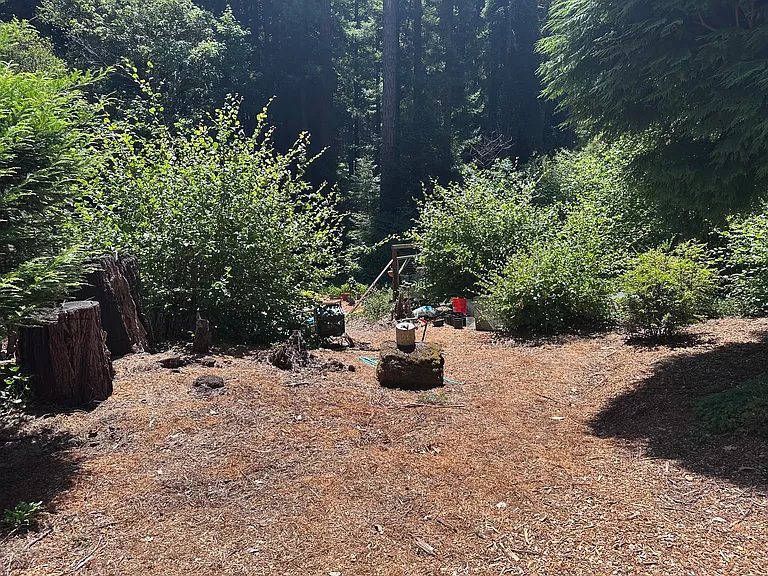 Madrone Ave — Photo 9