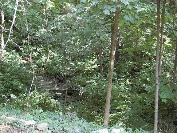 .419 Acres on a Cul-de-sac, 5 Blocks from Dwntwn