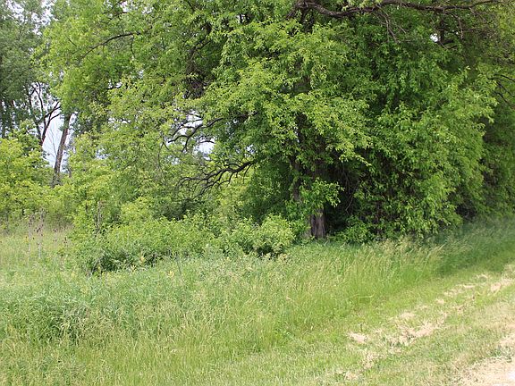 2nd image of 80TH Avenue Lot 1