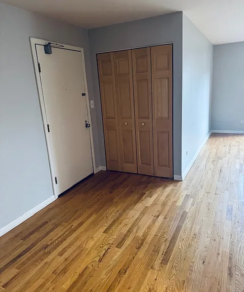 Reach in Closet by the Front Door
