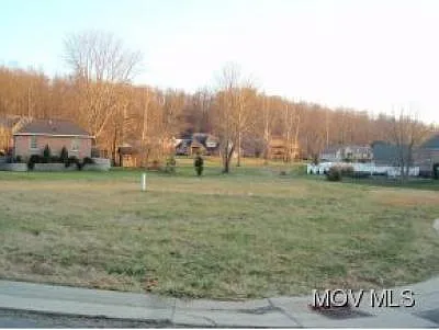 Alexander Dr photo 1