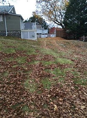 3rd image of 88 Greenwood Ave