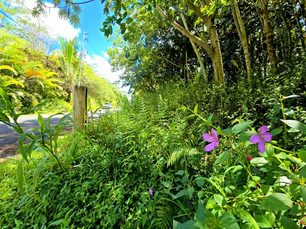 Nohea St Lot 82, Pahoa, HI 96778
