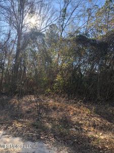 0 Henry Harley Rd, Saucier, MS, 39574