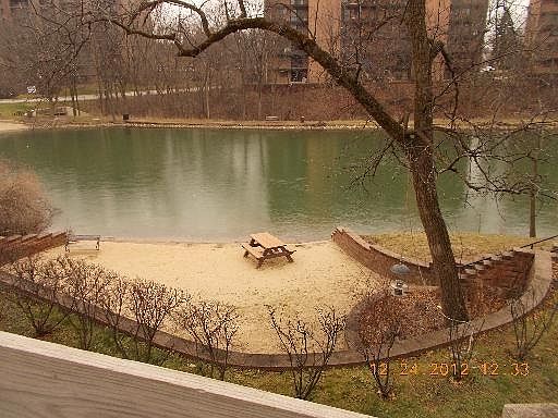 pond in backside