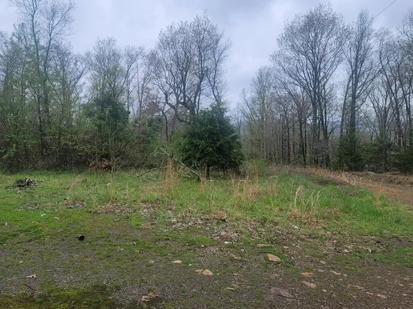 250 Hickory Hl, Drasco, AR 72530