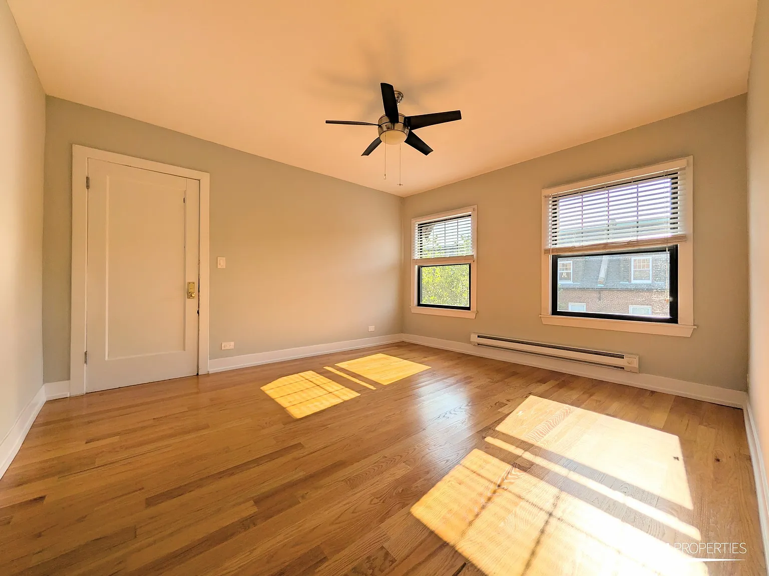 Chestnut — Photo 2