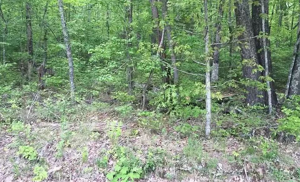 2nd image of Tranquil Acres