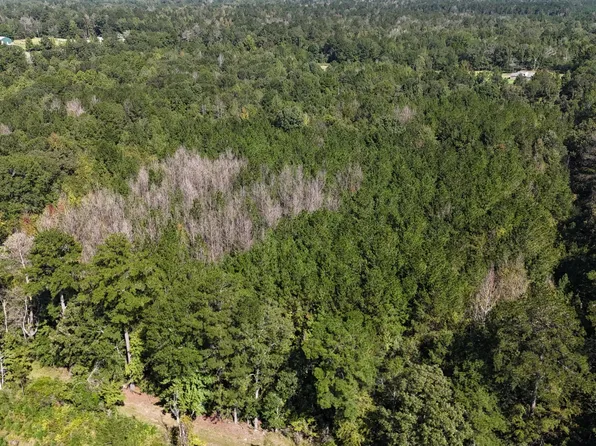 Van Zandt Rd, Braxton, MS 39044