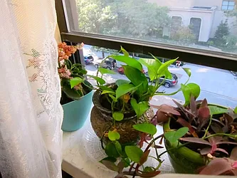 Rented by Paley Management