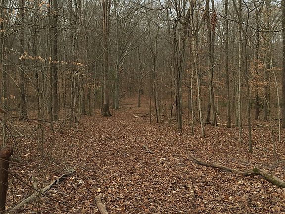 2nd image of 6013 Beech Hill Road