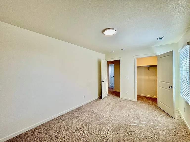 6395 Calla Lily St — Photo 23