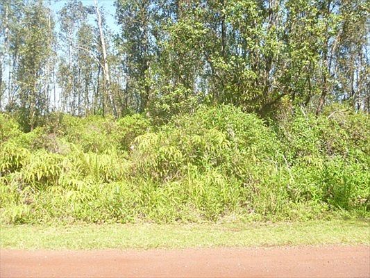 2nd image of Plumeria Dr Lot 47