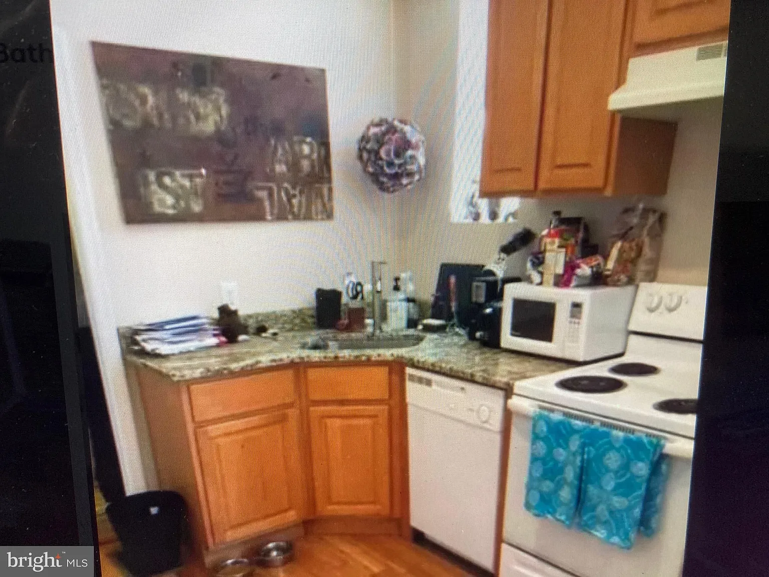 1 bed, 3000 sqft, $1,300 — Photo 2