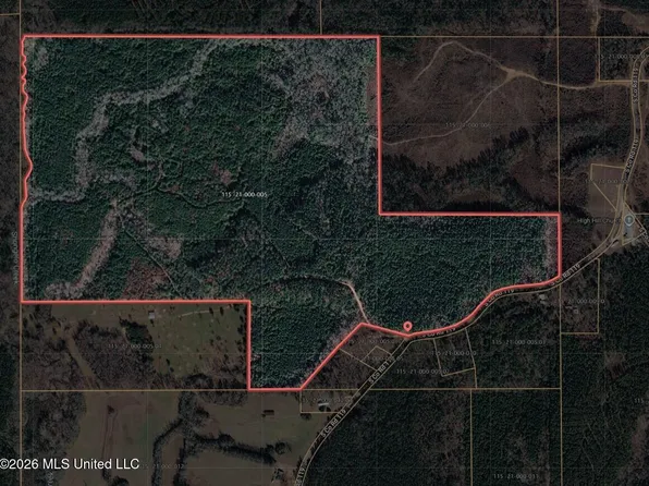0 S County Road 119, Raleigh, MS 39153