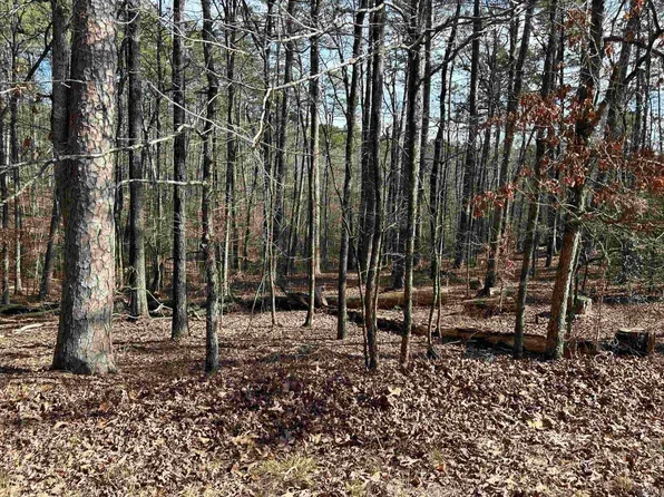 La Janda Ln, Hot Springs Village, AR 71909