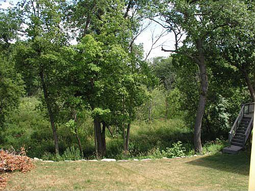 Home overlooks a wetland