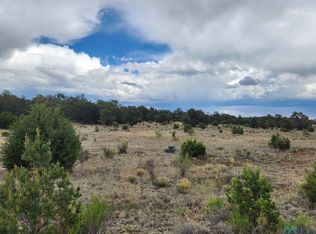 14 Conifer Cir, Pie Town, NM 87827