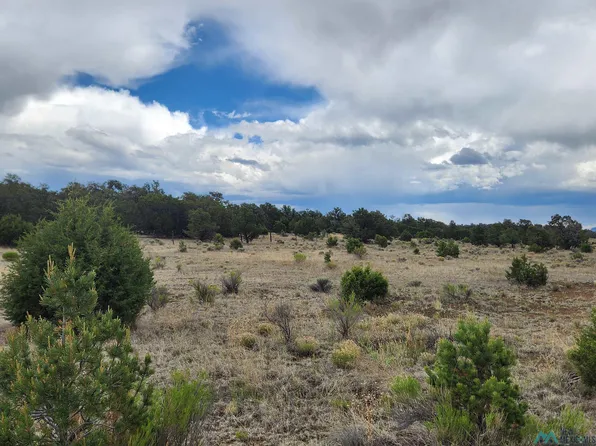 14 Conifer Cir, Pie Town, NM 87827