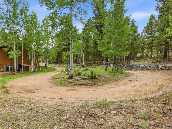 175 Mount Bailey Drive, Bailey, CO 80421