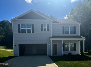 1112 Twelve Oaks Ct, Blountville, TN 37617