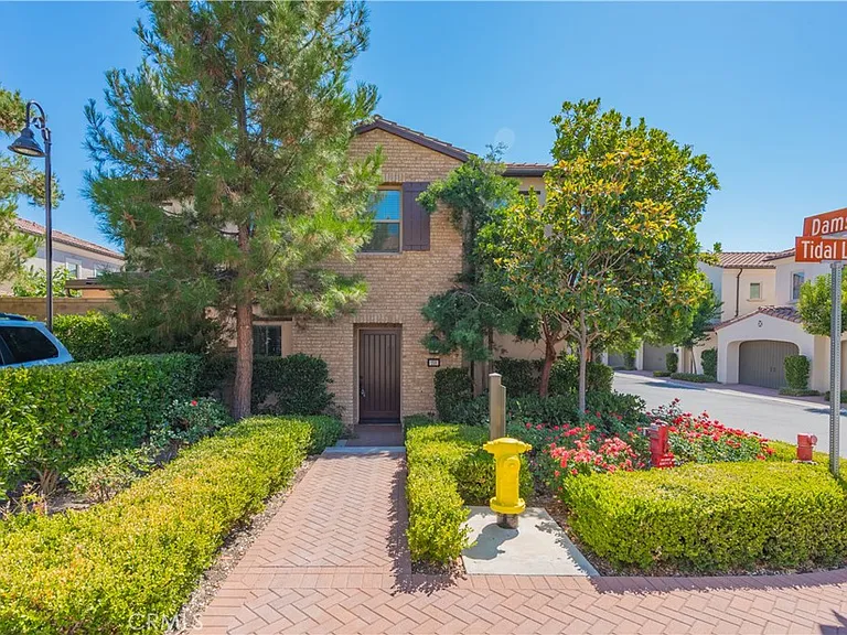 158 Damsel — Photo 1