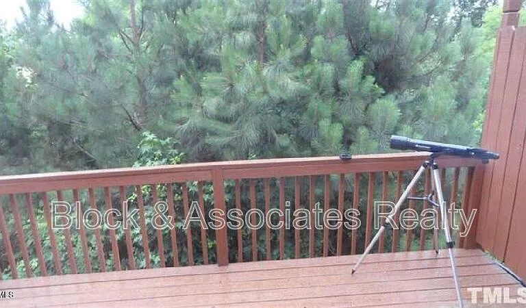 132 Linden Park Ln — Photo 13