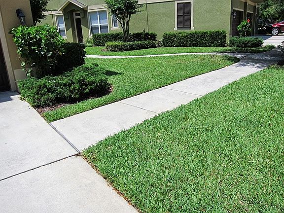 Fully Maintained Mature Landscaping