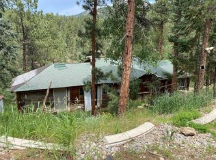 351 Bailey Dr, Bailey, CO 80421