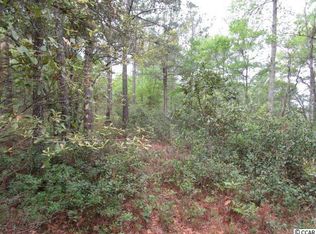 1154 Kinderhook Loop #PHASE 2-D-3, Georgetown, SC 29440