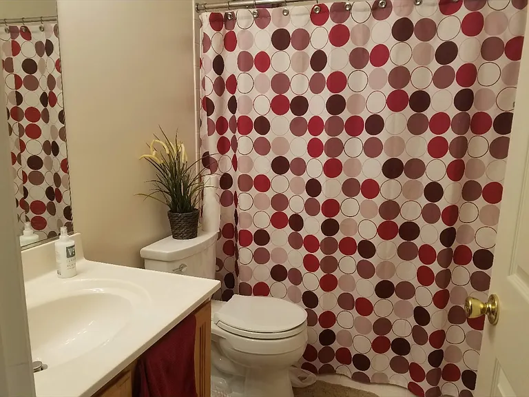 2470 Clover Field Cir — Photo 9