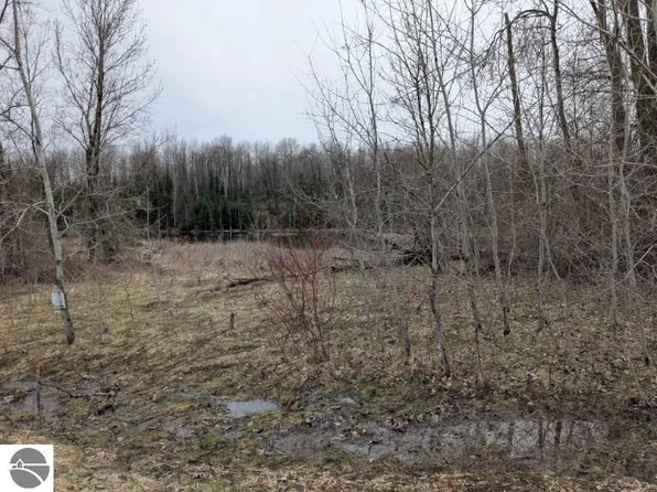 0 Lakeview Dr, Hale, MI 48739