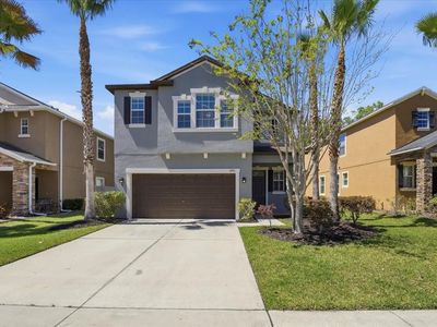 1695 Ludington Ave, Wesley Chapel, FL, 33543