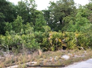 Malauka Radial Ter LOT 3, Silver Springs, FL 34488