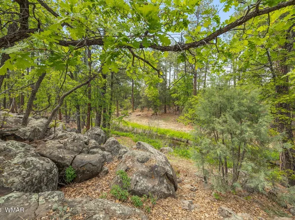 1358 W Big Springs Trl, Lakeside, AZ 85929