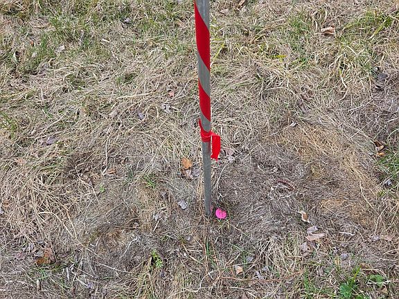 4th image of Lampi Rd