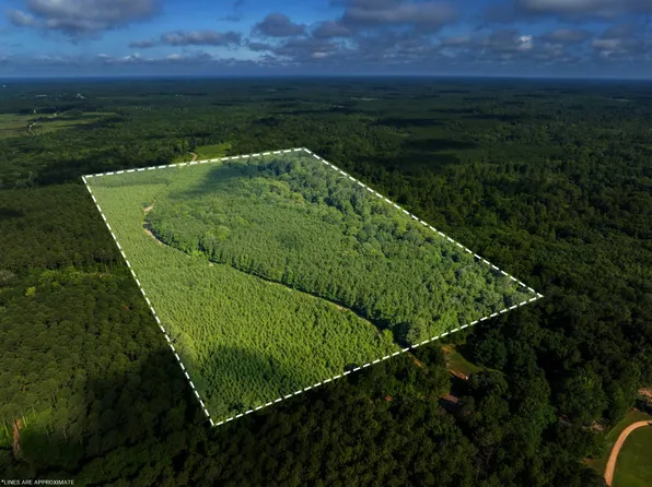 Oakland Bridge Rd, Spearsville, LA 71277