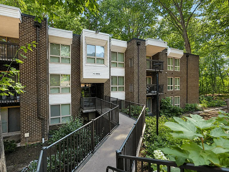 The Forest Apartments — Photo 35