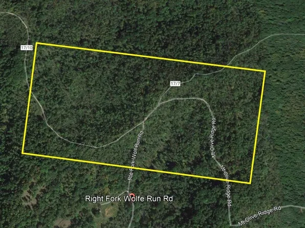Wolfe Run Rd, Belleville, WV 26133
