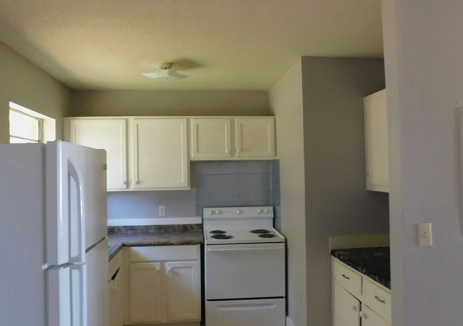 717 Richardson, Kinston,AL — Photo 4