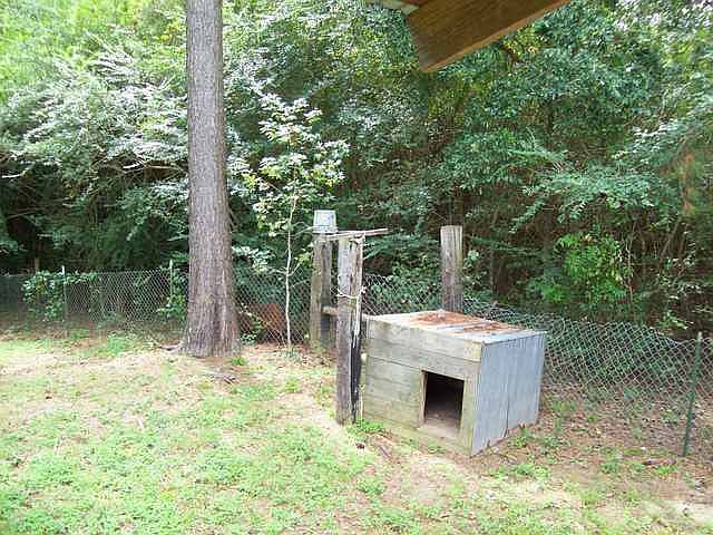2nd image of 176 Loop Rd