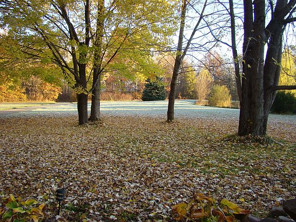 Front Yard in fall