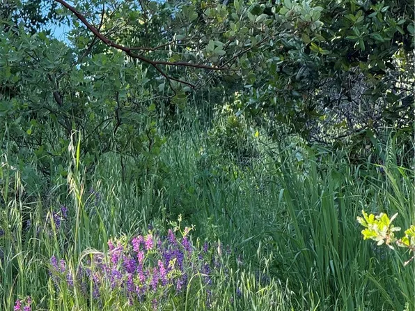 6705 Floyd Way Lot 12-13, Nice, CA 95464