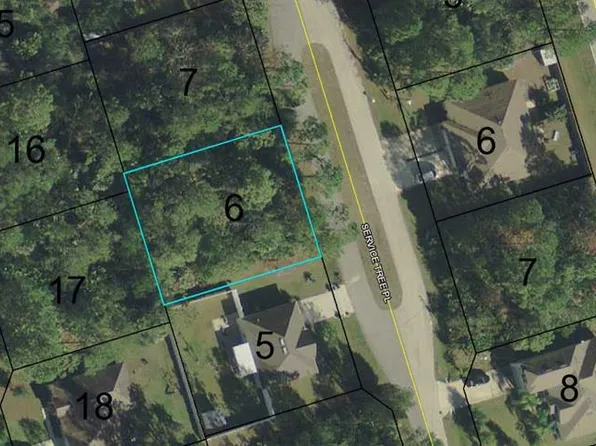 12 Service Tree Pl, Palm Coast, FL 32164