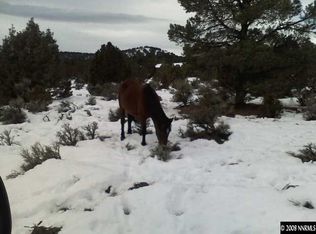 2180 Castle Peak Rd, Reno, NV 89521